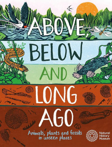 Above Below and Long Ago