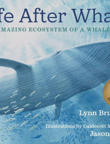 Life After Whale