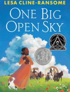 One Big Open Sky