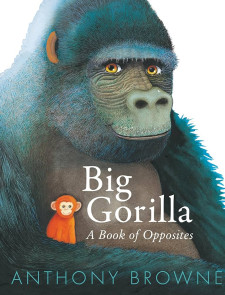 gorilla