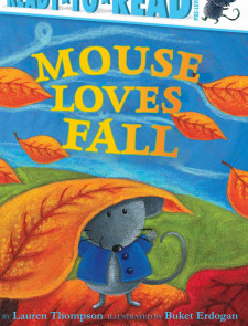 mouse